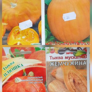 Тыква